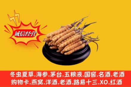 沈北新区求购回收虫草多少钱每克